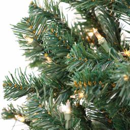 National Tree 6ft. Acacia Pre-Lit Christmas Tree