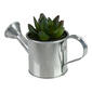 Northlight Seasonal 6" Mini Artificial Succulent in Watering Can - image 3