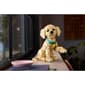 LEGO® Icons Golden Retriever Puppy - image 9