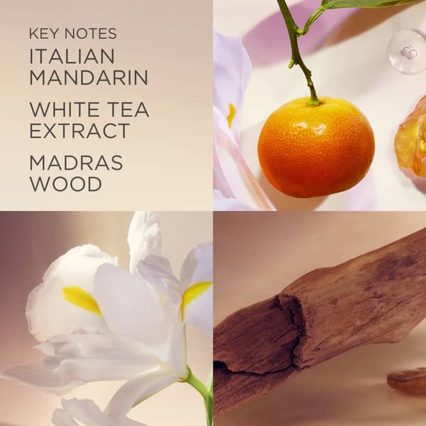 Elizabeth Arden White Tea Hand Cream