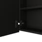 FM FURNITURE Minsk Medicine Cabinet - image 6