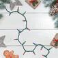 Northlight Seasonal 50 Multi-Colored Mini Christmas Lights - image 2