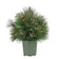 National Tree 26in. Black Tie Xmas Needles & Cedar Urn Filler - image 1