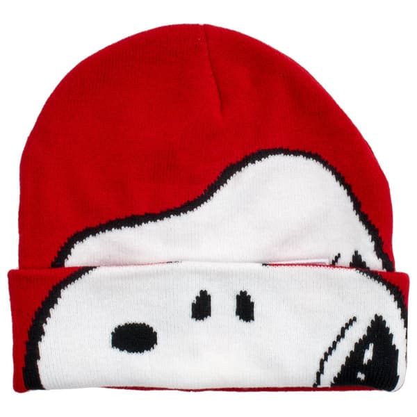 Boys (4-7) Peanuts™ Snoopy Roll Down Winter Hat