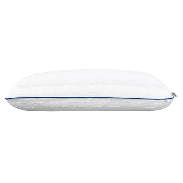 Sealy Cool Gel Memory Foam Pillow