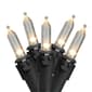 Northlight Seasonal 100 Warm White LED Mini Christmas Lights - image 1