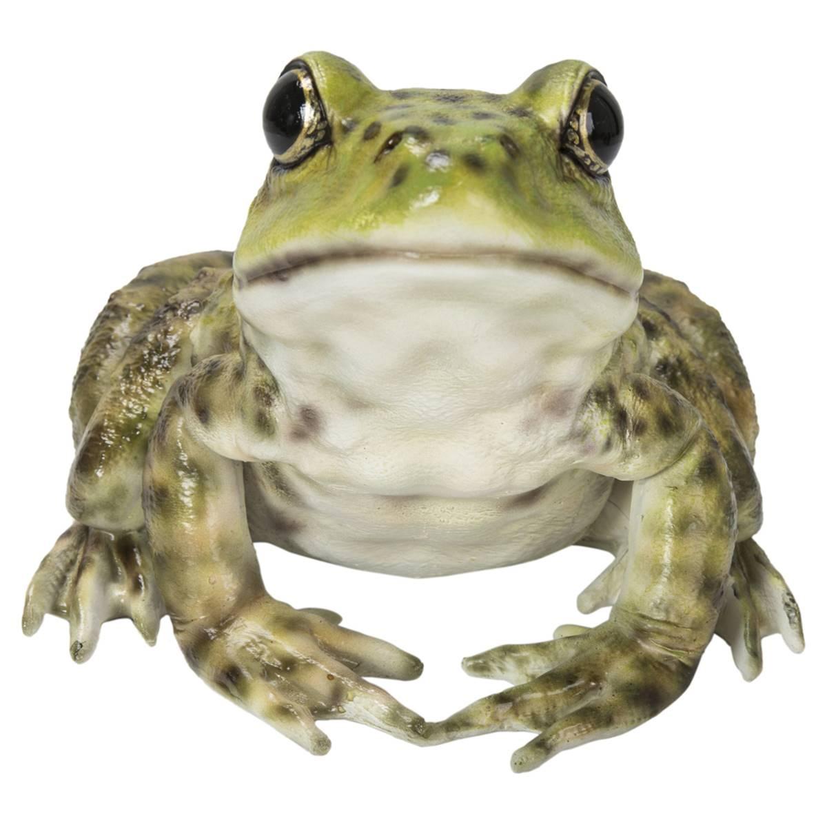 Open Video Modal for Hi-Line Gift American Bullfrog Garden Statue