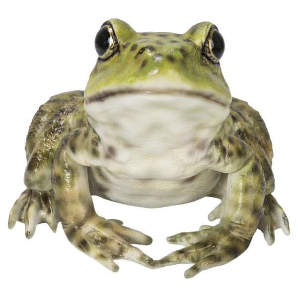 Hi-Line Gift American Bullfrog Garden Statue - image 
