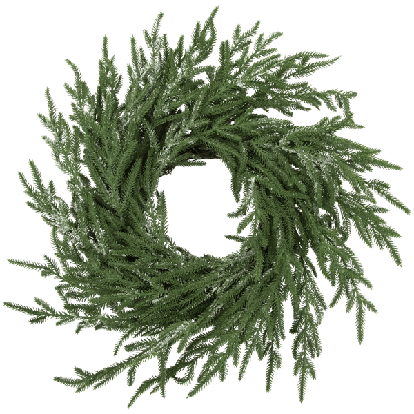 Northlight Frosted Norfolk Pine Artificial Christmas Wreath