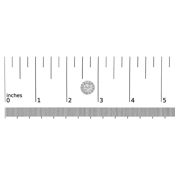 Haus of Brilliance 3/4ctw. Lab Grown Diamond Halo Stud Earring