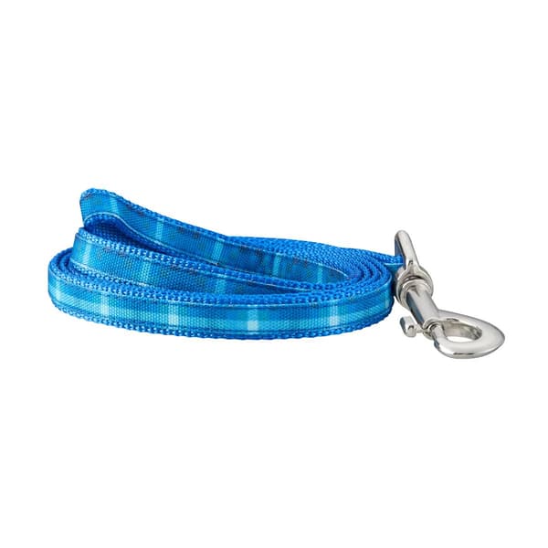 Best Furry Friends Ombre Graphic Pet Leash