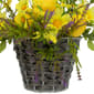 Northlight Seasonal Lemon & Daisy Spring Basket Wall Décor - image 4