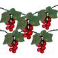 Northlight Seasonal 5 Red Grape Cluster String Lights - image 1