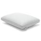 Sealy Memory Foam Pillow - image 1