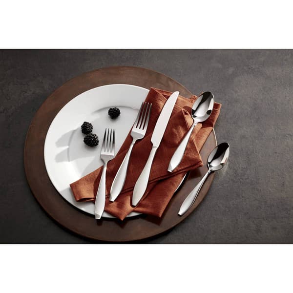 Oneida Comet 20pc. Everyday Flatware Set