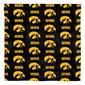 Northwest Iowa Hawkeyes Bed in a Bag - image 2