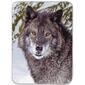 Shavel Home Products Hi Pile Wolf Oversized Luxury Throw - image 1