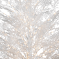 Northlight 5ft. Warm White LED  White Lace Christmas Tree - image 5