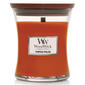 WoodWick(R) 9.7oz. Pumpkin Praline Jar Candle - image 1