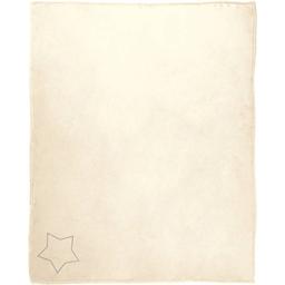 Pavilion Son Plush Blanket
