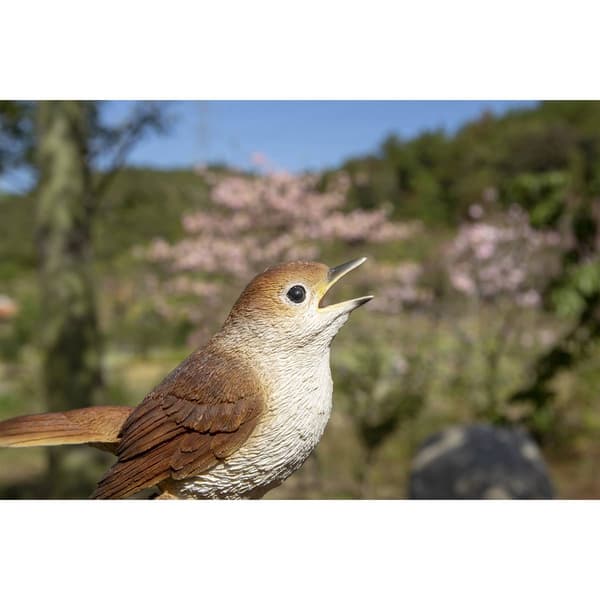 Hi-Line Gift Motion Activated Singing Nightingale Figurine