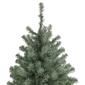 Northlight Seasonal 7.5ft. Colorado Spruce Christmas Tree - image 3