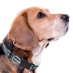 NFL Philadelphia Eagles Dog Collar