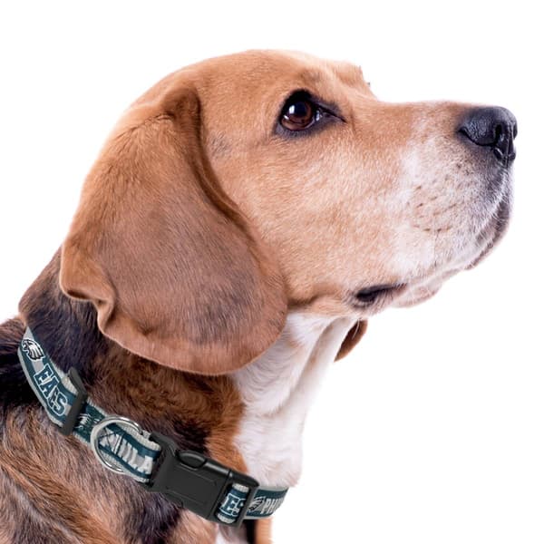 NFL Philadelphia Eagles Dog Collar