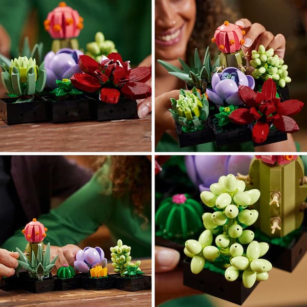 LEGO&#174; Botanicals Succulents
