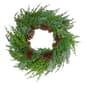Northlight Seasonal 26in. Frosted Artificial Christmas Wreath - image 1