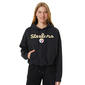 Womens NFL Pittsburgh Steelers Ascent Hoodie - image 1