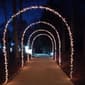 Northlight Seasonal 100 Count Multi-Color Mini Easter Light Set - image 5
