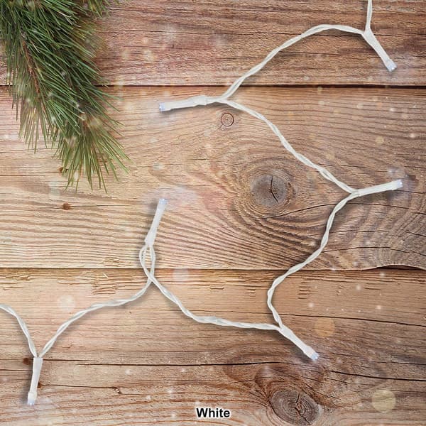 Northlight Seasonal 10ct. LED Wide Angle Christmas Lights