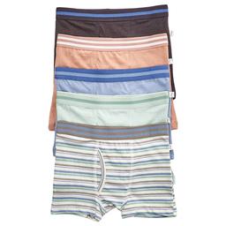 Toddler Boy Poppy & Clay Wanderer 5pk. Stripe & Solid Boxer Brief