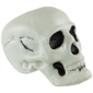 Northlight Bag of Skulls Halloween Decorations - 6in. - Set of 3 - image 4