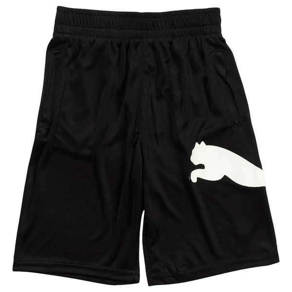 Boys (8-20) Puma Speed Pack Performance Shorts - image 