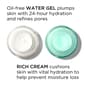 Elizabeth Arden Visible Difference Replenishing HydraGel - image 12