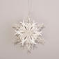 White &amp; Platinum 3D Snowflake Ornament - image 1