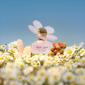 Marc Jacobs Daisy Love Eau So Sweet Eau de Toilette - image 2