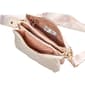 Madden Girl Quilted Modular Crossbody - image 4