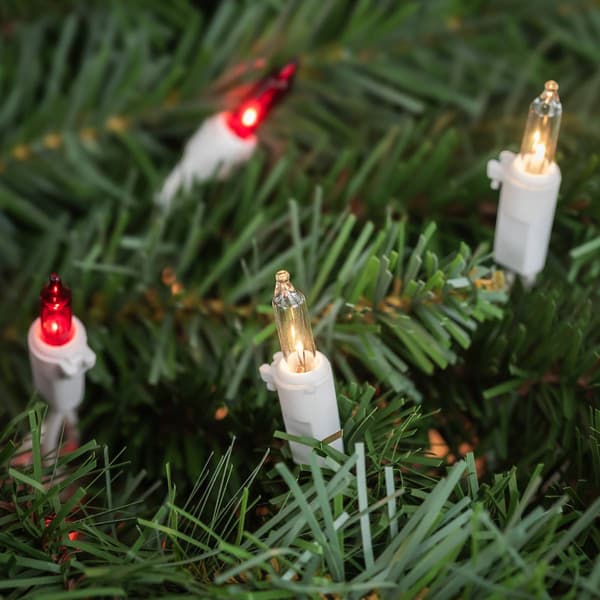 Northlight Seasonal 50 Red & Clear Mini Christmas Lights