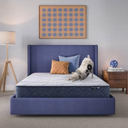 Serta Perfect Day 10in. Profile Medium Bed in a Box Mattress