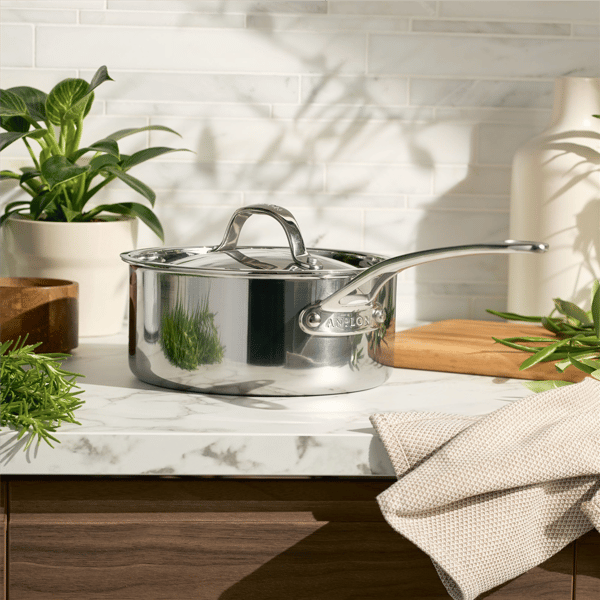 Anolon® EverLast 3qt. Tri-Ply Clad Saucepan with Lid
