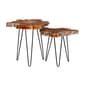 9th & Pike(R) Brown Teak Wood Contemporary Accent Table - Set of 2 - image 1