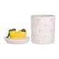 Home Essentials 36 Oz Dots Canister with Lemon - image 2
