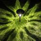 Alpine Solar Brown Pathway LED Lights - Set of 2 - image 3