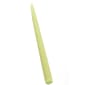 Root Candles 12in. Taper Candle - Willow - image 1