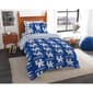 Northwest Kentucky Wildcats Bed in a Bag - image 1