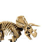 LEGO® Jurassic World Dinosaur Fossils: Triceratops - image 5