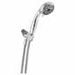 Peerless(R) 5 Setting Hand Shower Head - image 1